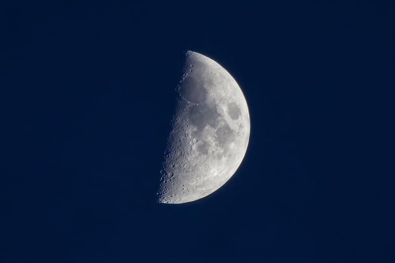Lunar Estates